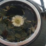 tisane
